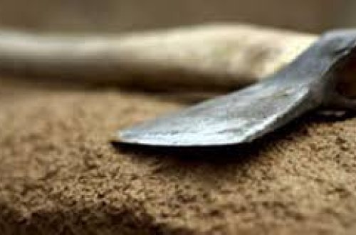 İmişlidə ər 16 yaşlı arvadını baltaladı