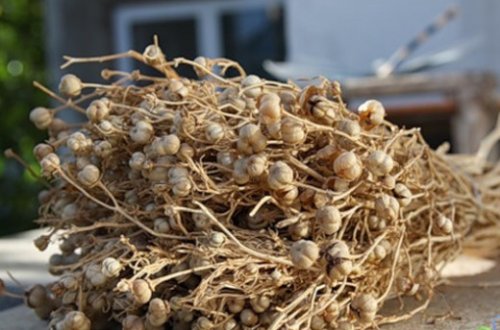 Evdə üzərlik yandırmağın FAYDALARI