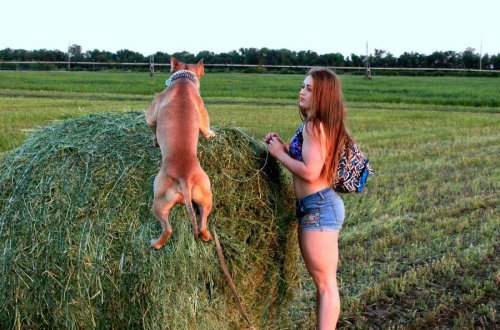 Dəmir əzələli Barbi- FOTOLAR