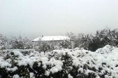 Cənub bölgəsinə ilk qar yağdı – FOTOLAR
