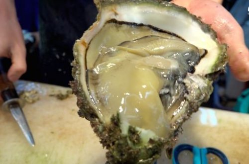 Yaponların məşhur küçə yeməkləri - Belə yeyirlər... - VİDEO