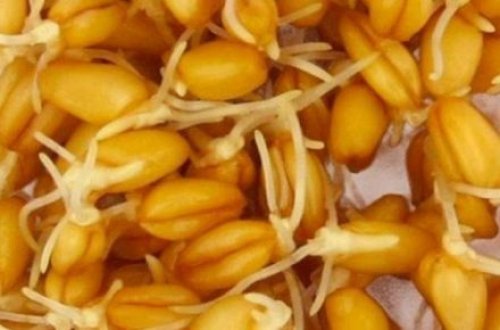 Bu möhtəşəm təbii resept xərçəngi sağaltdı