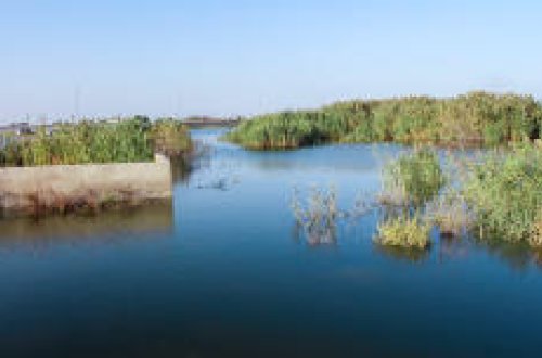 Azərbaycanda bu da varmış - Gölün içində qəbristanlıq - FOTOLAR