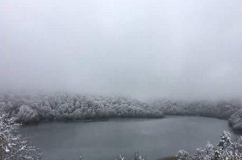 Göygölə 25-30 santimetr qar yağdı: ağaclar qırıldı - FOTOLAR