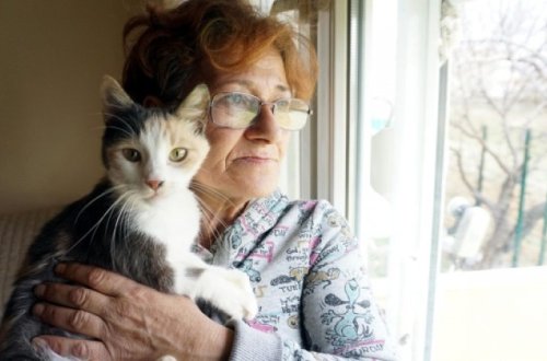 52 yaşlı qadın evdə 80 pişik saxlayır - FOTOLAR