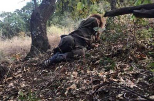 Sağ qalan yeganə PKK-çı qadın tutuldu - FOTO