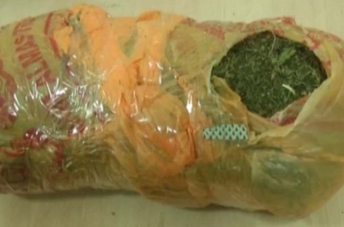 Evdə marixuana tapıldı - FOTO