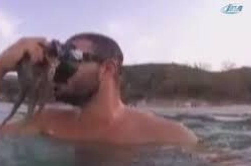 Dənizdə elə bir şeylə qarşılaşdı ki... - VİDEO