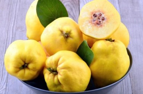 Gənclik mənbəyi və sevgi rəmzi sayılan heyvanın faydalı xüsuiyyətləri