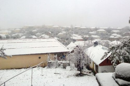 Cənub bölgəsinə qar yağır – FOTOLAR