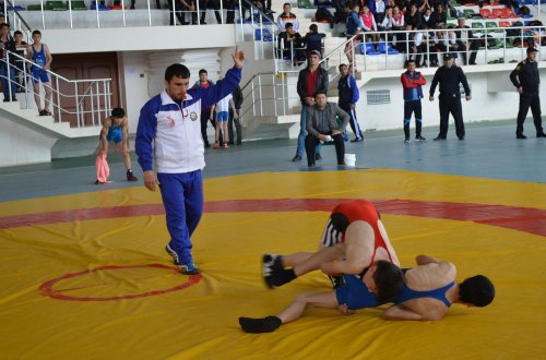 “Gənc Pəhləvanlar” layihəsi uğurla həyata keçirilib