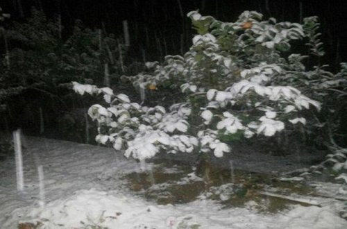 Naxçıvana da qar yağır - FOTO