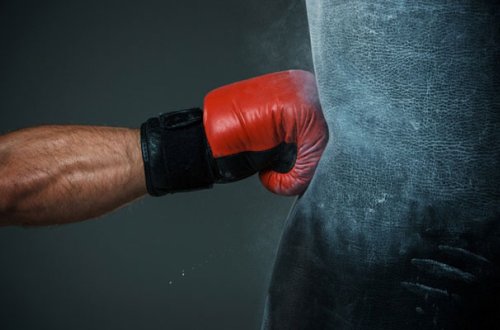 Azərbaycan millət vəkili rinqə çıxır - İtaliyada- FOTO