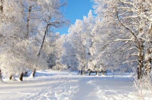 Qar Yardımlıda 30 kəndi işıqsız qoydu