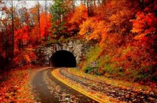 Arabir yağış, mülayim külək - Sabahın havası