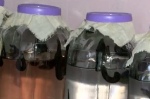 Zəlini zəlil günə qoyublar - Alimlər etiraz etdi - VİDEO