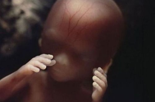 İnsan həyatı necə yaranır? - FOTOLAR