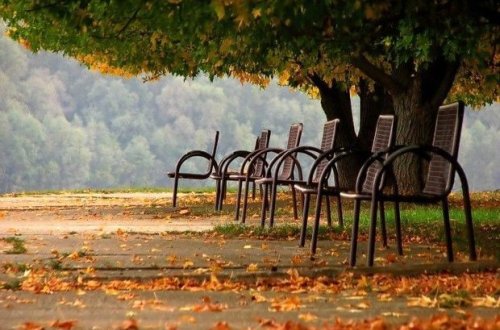 İstirahət gününə olan hava proqnozu