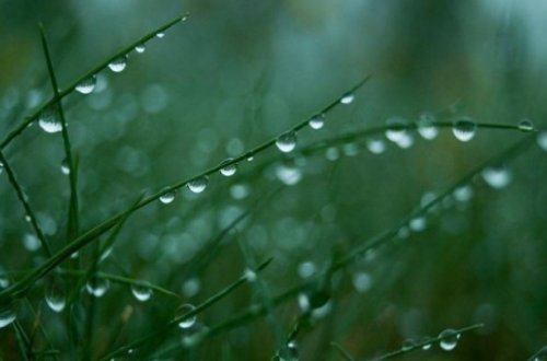 XƏBƏRDARLIQ: Noyabrın 1-dən 3-dək hava şəraiti qeyri-sabit keçəcək