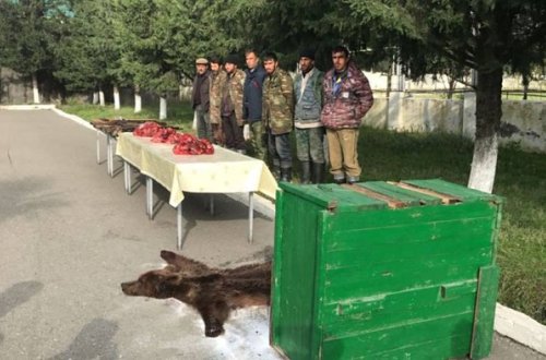 DSX-dan ayı əməliyyatı - 7 nəfər tutulub