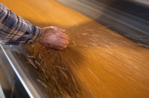 Azərbaycana 350 ton zəhərli buğda göndərilməsinin qarşısı alınıb