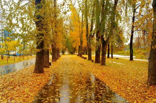 Hava yağmursuz olacaq