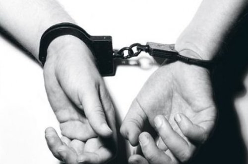 İmişlidə mal-qara oğurlayan dəstə yaxalandı