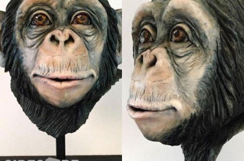 Burada insan tortları SATILIR – TÜKÜRPƏDƏN FOTOLAR (18+)