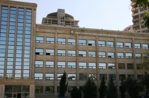 Restoranlarda ayı əti fırıldağı - Rəsmi açıqlama