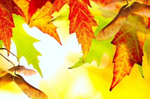 Sabah 20 dərəcə isti olacaq