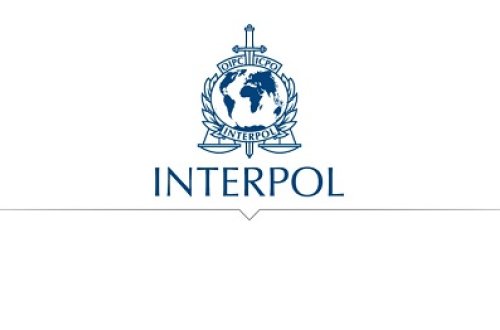 İnterpola yeni prezident seçildi