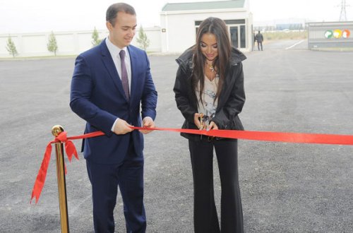 Bakıda sahibsiz heyvanlar üçün qayğı mərkəzi açılıb – FOTOLAR