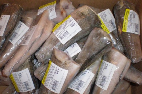 Dondurulmuş balıq alanlar - ehtiyatlı olun - VİDEO