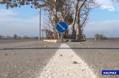 Xaçmazın sirli ağacı — 