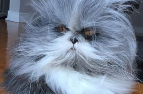 Bu görüntülərə diqqətlə baxın! - Nə gördünüz? - VİDEO 