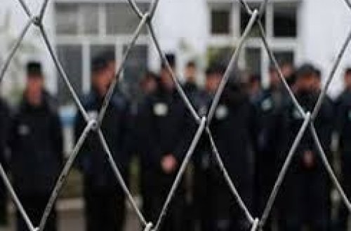 Yeni ildə əfv ola bilər — Açıqlama