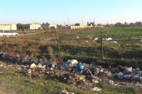 Cəlilabadda qəbiristanlıqda oğurluq olub - Fotolar