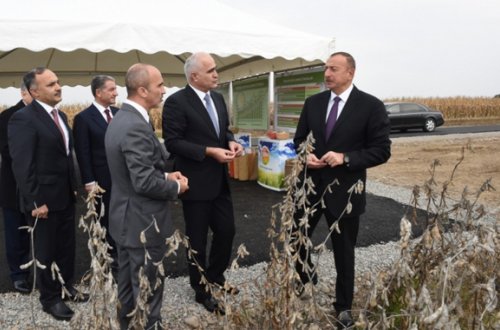 Azərbaycan prezidenti özəl pilot taxılçılıq təsərrüfatının fəaliyyəti ilə tanış olub