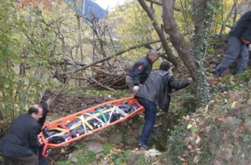 Azərbaycanda qız anasını uçurumdan atdı