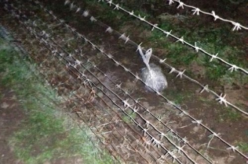 Sərhəddə narkotik əməliyyatı - FOTOLAR