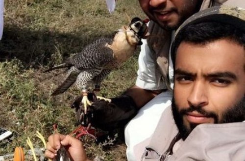 Ərəb şeyxlərinin Azərbaycanda ov kefi – FOTO + VİDEO