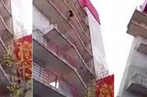 30 saniyədə hara istəsə dırmanır - VİDEO