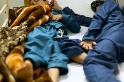 MÖCÜZƏ - Gecə ölüb, gündüz dirilən insanlar- VİDEO