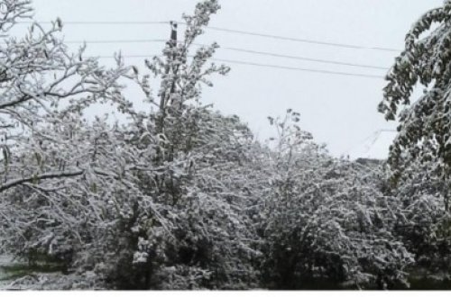 Sabahın HAVASI: Qar yağacaq