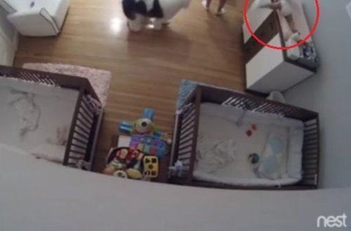 Doqquz yaşlı uşaq körpə qardaşını belə xilas etdi – VİDEO