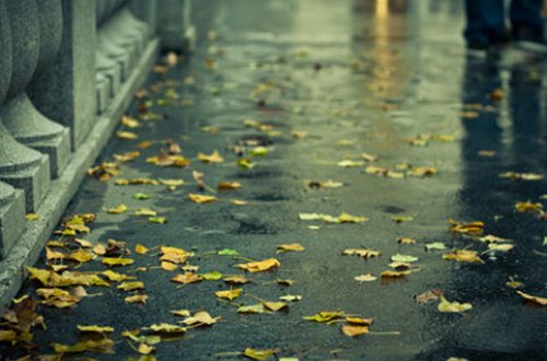 Həftə sonunun HAVAsı