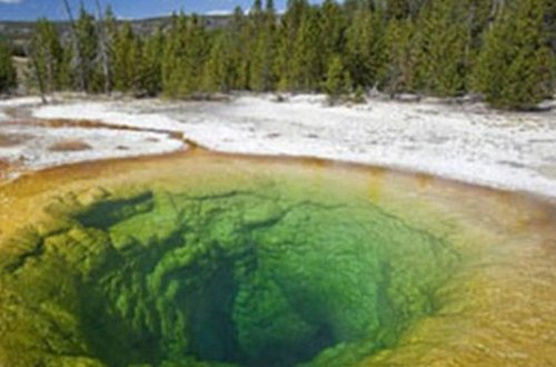 DÜNYA Milli parkda QORXULU HADİSƏ: Gənc oğlan əriyərək yox oldu - FOTO