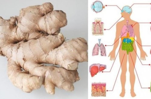 1 ay ərzində hər gün zəncəfil yesəniz, orqanizmdə nə baş verəcək?