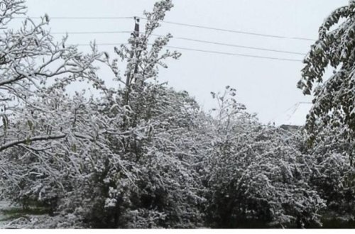 Sabahın havası: Bakıya qar yağacaq