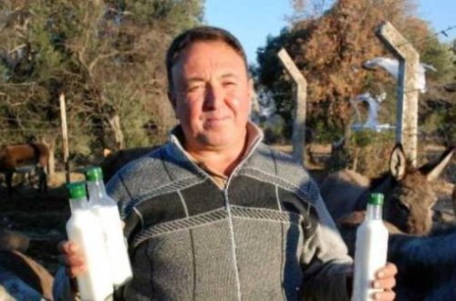 Ana südünə bərabər olan eşşək südü: qızıldan bahadır - FOTOLAR